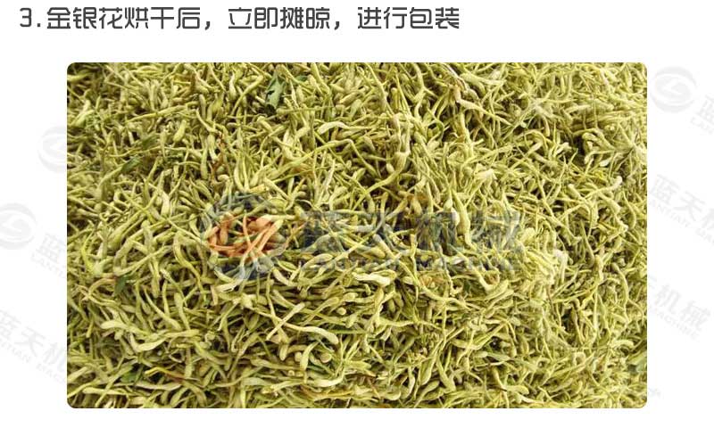 金銀花烘干機(jī)烘干工藝