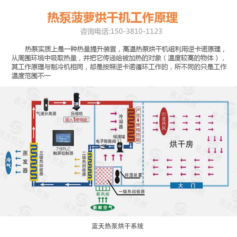 菠蘿干烘干機工作原理