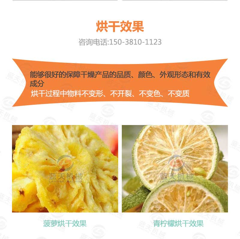 菠蘿干烘干機烘干效果